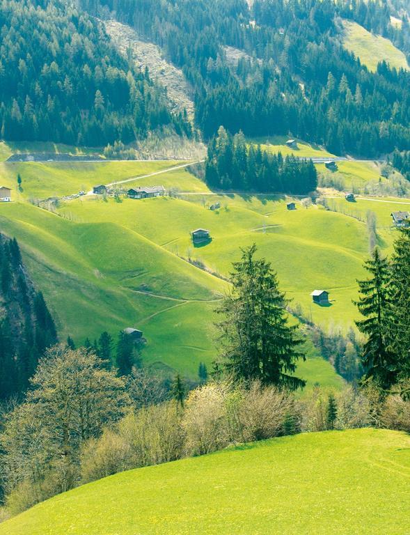 Вилла Schoesserhof Цель-ам-Циллер Экстерьер фото